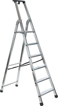 trapladder quadra 6 treden