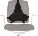 fellowes rugsteun ultimate