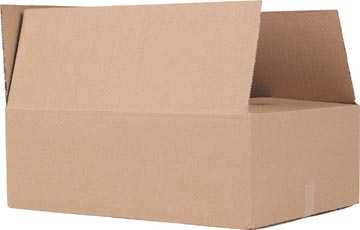 verzenddoos br 305x220x100mm