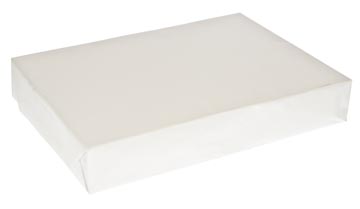 kopieerpapier a4 75g 500v