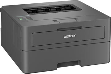brother printer hl-l2400dwe