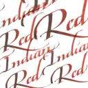 Winsor & Newton Calligraphy Ink 30ml Indisch Rood