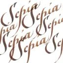 Winsor & Newton Calligraphy Ink 30ml Sepia