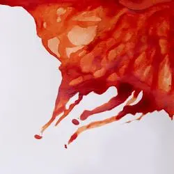 winsor & newton drawing ink 14ml gebrande sienna