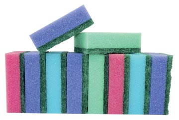 aqualine schuurspons pk10