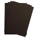 etival color 5 blad 160g a4 (21x29,7cm) - zwart
