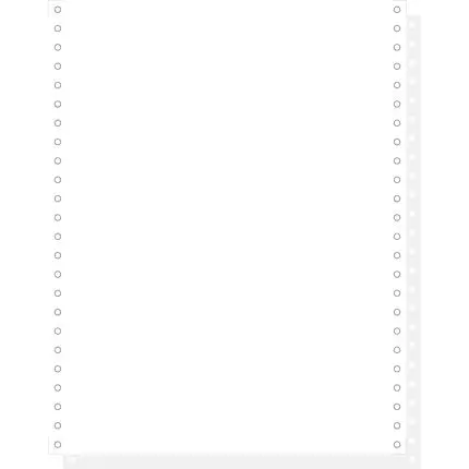 1000 vellen 2 ex zelfkopiërend listingpapier 240x12 afscheurbare caroll banden - wit (2x 57gr)