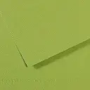 MI-TEINTES  50X65CM (APPELGROEN)