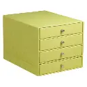 Rhodiarama Box Met 4 Laden In Italiaans Kunstleer 24,8X32,7X22,8 Cm - Anijsgroen