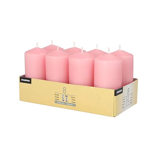 Stompkaarsen Ø 50 Mm 100 Mm Oudroze 16 Branduren 8/Doos