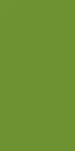 Duni Tafellakens 1,38 X 2,2 Leaf Green