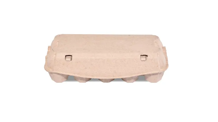 Pulp eierdoos blanco EVO 1x10 eieren (70 stuks)