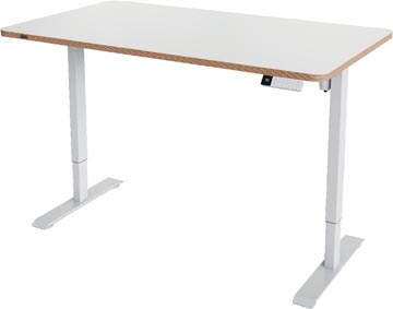 Leitz Ergo Zit/Sta bureau, ft blad 140 x 80 cm, elektrisch, op voet