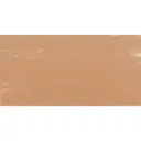 Pastel à l'écu - Momie 106 / Mummie 106