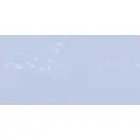 Pastel à l'écu - Bleu-violet 335 / Blauwviolet 335