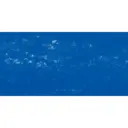 Pastel à l'écu - Bleu Saphir 621 / Saffierblauw 621