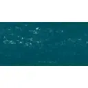 Pastel à l'écu - Bleu Nuit n°1 770 / Nachtblauw n° 1 770