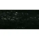 Pastel à l'écu - Noir-Vert 177 / Zwartgroen 177