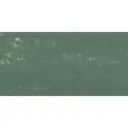 Pastel à l'écu - Vert Feuille 199 / Bladgroen 199