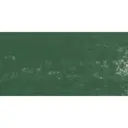 Pastel à l'écu - Vert Forêt n°3 912 / Bosgroen n°3 912