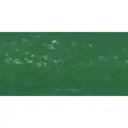 Pastel à l'écu - Vert Forêt n°5 914 / Bosgroen n°5 914