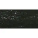 Pastel à l'écu - Gris Vert Jaunâtre 491 / Grijs Geelachtig Groen 491