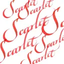 Winsor & Newton Calligraphy Ink 30ml Scharlaken Rood