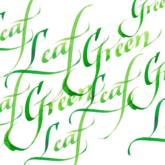 Winsor & Newton Calligraphy Ink 30ml Bladgroen