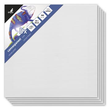 kangaro canvaspaneel 30x30 p5