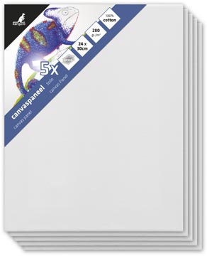 kangaro canvaspaneel 24x30 p5