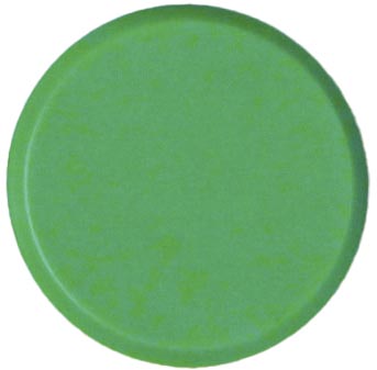 bouhon magneten 10x 20mm groen