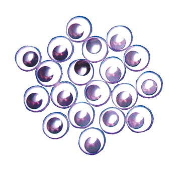 BEWEGENDE OOGJES 50 STUKS (12MM)