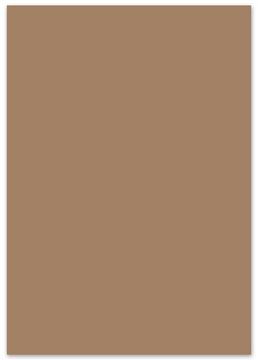 fotokarton 50x70 p25 reebruin