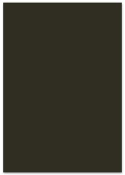 fotokarton 50x70 p25 d bruin