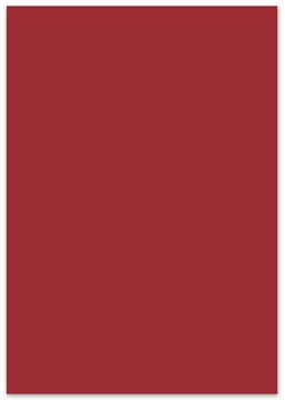 fotokarton 50x70 p25 d rood