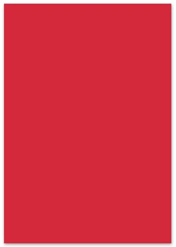 fotokarton 50x70 p25 rood