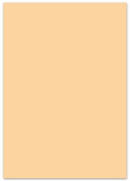 fotokarton 50x70 p25 chamois