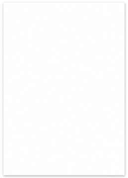fotokarton 50x70 p25 wit