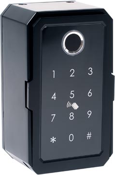 pavo advanced sleutelkluis zw