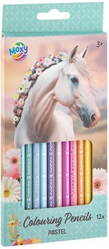 horse kleurpotlood 12x ass