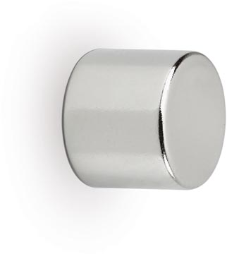 maul neod rondmagn ø10x10mm p10