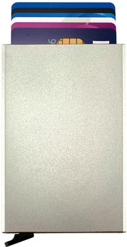 figuretta kaarth alu zilver