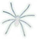 spin glow in the dark 50x