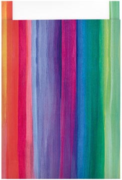 zakje 25x34cm 100x regenboog