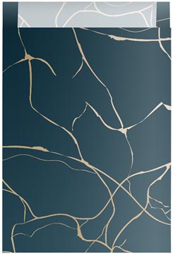 zakje 25x34cm 100x luxury dbl