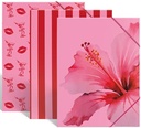 pink elastomap karton a4