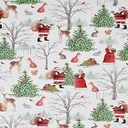 inpak 150mx50cm kersttafereel