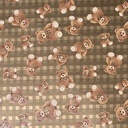 inpak 150mx30cm teddybeer