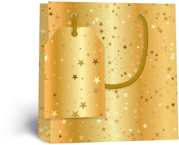 geschenkzak sterren goud s