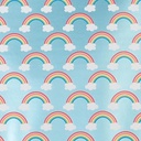inpak 150mx50cm regenboog
